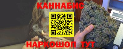 гидра Славгород