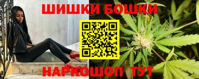 гидра Славгород