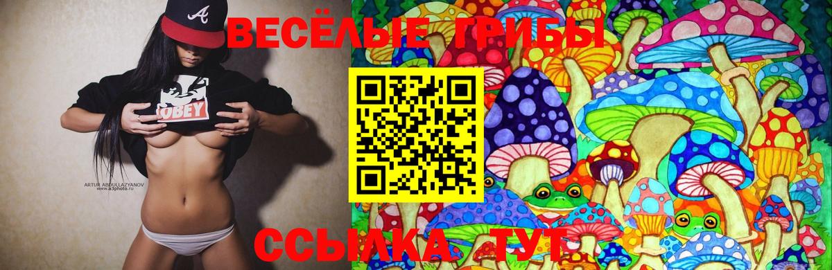 Псилоцибиновые грибы мицелий Нальчик