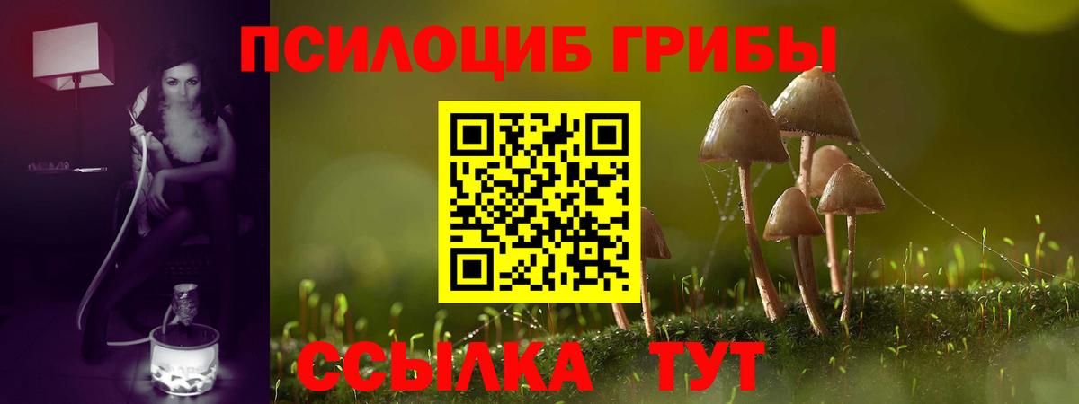Нальчик  Галлюциногенные грибы Psilocybe  Вход с VPN 